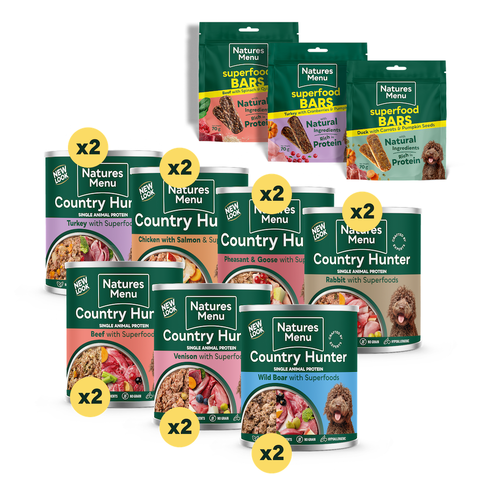 Big Flavour Wet Food Bundle for Medium to Large Dogs